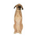 Great Dane, Brown, Seated, 35" H