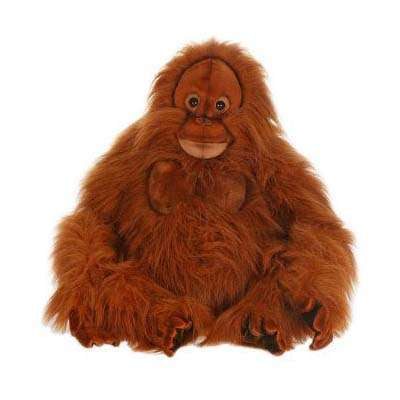 Orangutan, Clyde 20" H, Critically Endangered