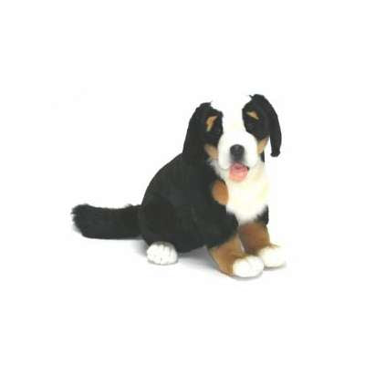 Bernese Mountain Pup Dog Seated 13" H