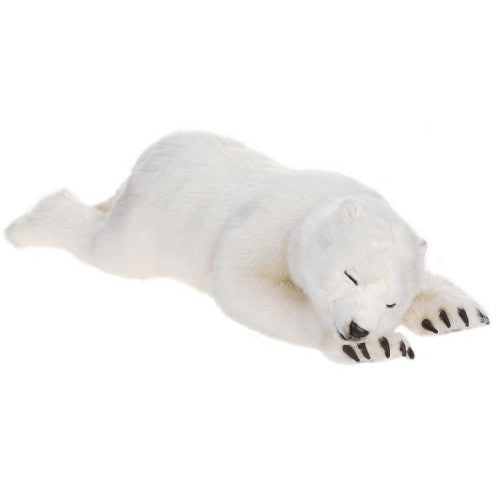 Bear, Polar, Cub, Large, Sleeping