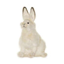 Hare White 11" H