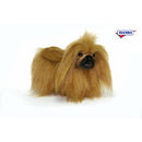 Dog, Toy Pekinese