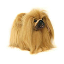 PEKINGESE, TOY SIZE  DOG 11''L