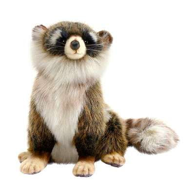 Raccoon Young 9" H