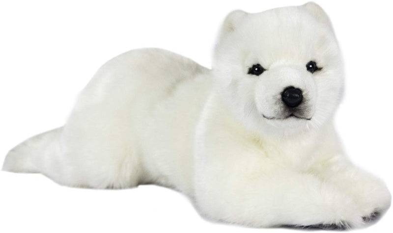 Bear, Polar Cub, Lying