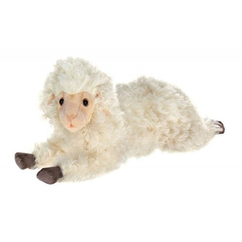 Sheep, Little Lamb, Cuddly