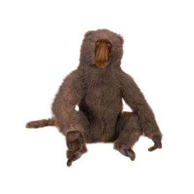 Baboon Large Adult 24"  H