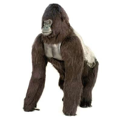 silverback gorilla giant plush gorilla