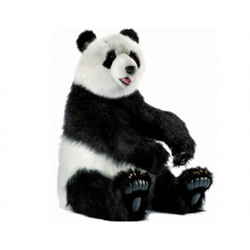 Bear, Panda, Sitting, Life Size