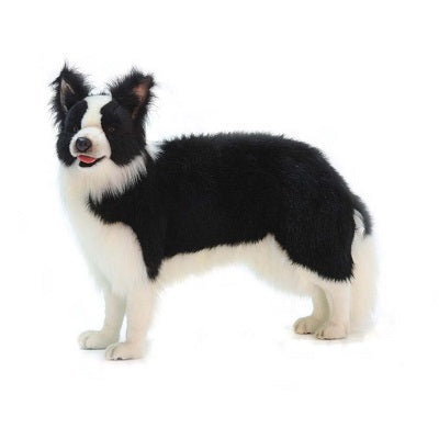 Border Collie Dog Standing 33" L Life Size