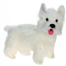 Dog, West Highland Terrier, (Westie)