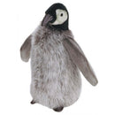 Penguin Chick, Medium