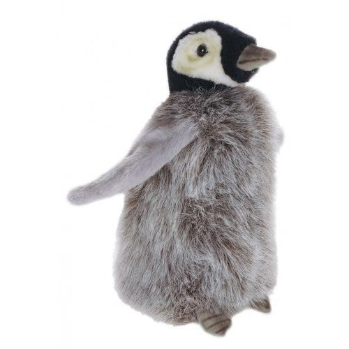 Penguin Chick, Small