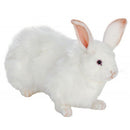 Rabbit, Snow