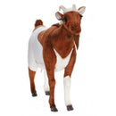 Goat, Life Size, Ride, On