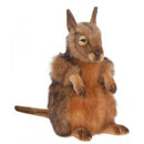 Wallaby (Kangaroo Hare), 16" Tall