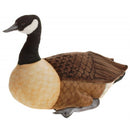 Goose, Canadian