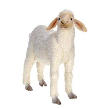 Lamb Baby Life Size 20" L X 20" H