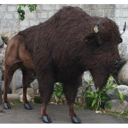 Buffalo (Bison), American, Ride On, Life Size,