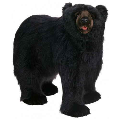 Bear, Black, Life Size, Ride On, on 4 Feet
