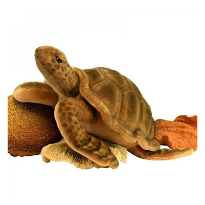 Sea Tortoise 20" L