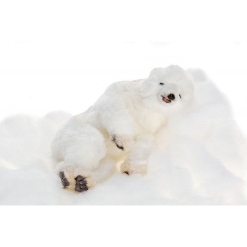 Bear, Polar Cub, Floppy