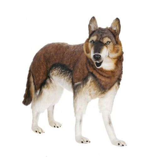 Dog, Timber Wolf, Life Size, Standing