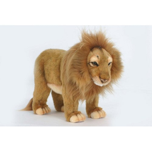 Lion, Male, Standing, 8" Tall