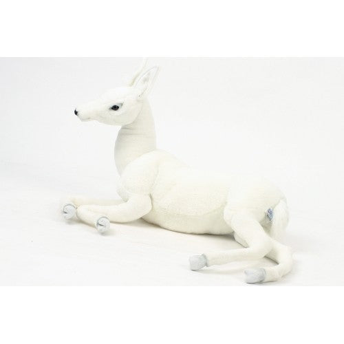 Deer, Reindeer Baby, White, (Caribou) Laying