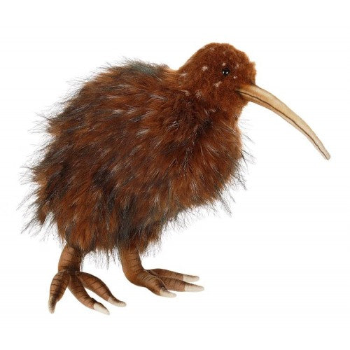 Kiwi Bird,New Zealand Brown