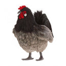 Chicken, Black & Grey Hen