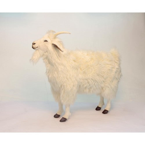 Goat, White, Cashmere, 39" Long