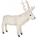 Deer, Reindeer, White