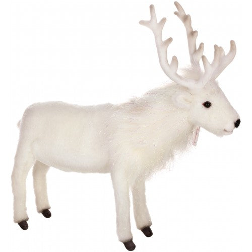 Deer, Reindeer, White
