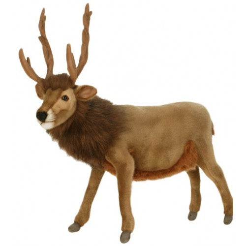 Deer, Brown Reindeer,(Caribou)