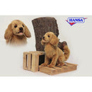 Dog, Golden Retriever Pup