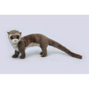 Ferret, Brown, On 4 Feet, 23" Long