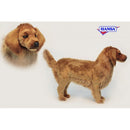 Dog, Golden Retriever, Ride, Animal Seat, Life Size