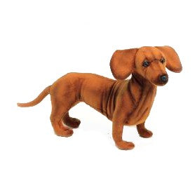 Dachshund Dog Standing 16.6" L
