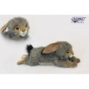 Rabbit, Black Tail Floppy Eard Bunny