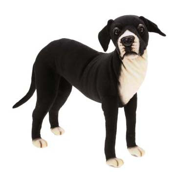 Great Dane Pup Black/White 25"L
