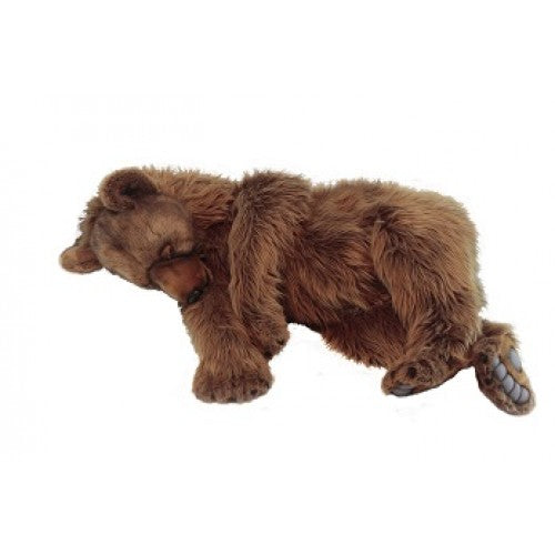 Bear, Grizzly, Sleeping, Life Size