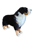 Bernese Mountain Dog Standing 49" L X 34.5" H