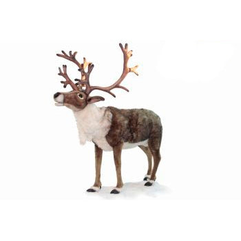 Reindeer (Nordic) Life Size 65" H X 58" L