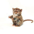 Tarsier L (New Jacq) Baby 6" H