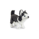 Husky Pup Standing 11" L