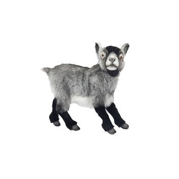 Grey Goat 13.6" L