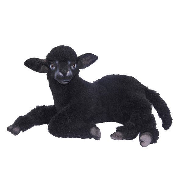 Lamb Black Lying 12" L