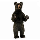 Black Bear Upright 40" H