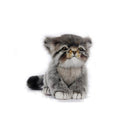 Pallas Kitten 12" L, Endangered